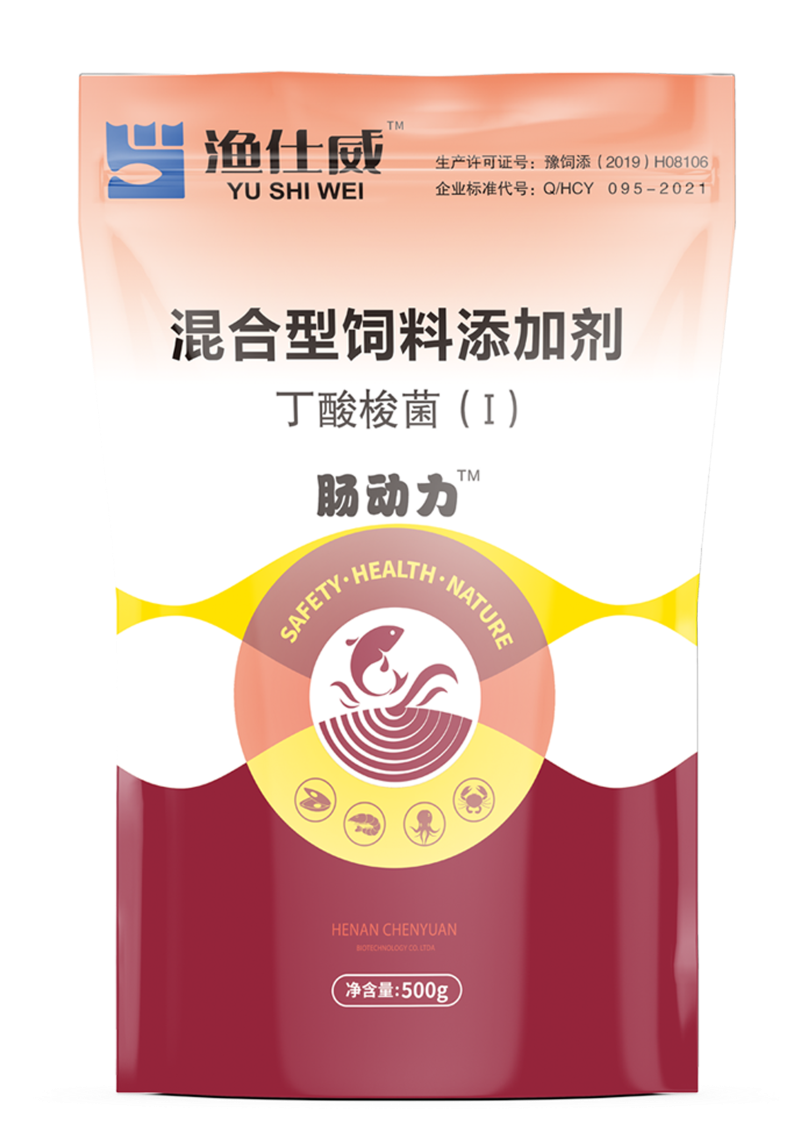 腸動(dòng)力