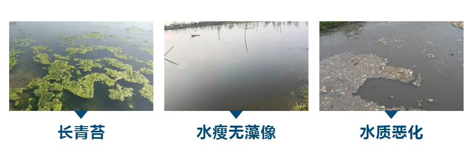 水產(chǎn)養(yǎng)殖中常見(jiàn)的水質(zhì)問(wèn)題