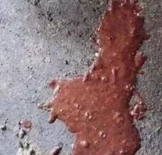 圖片8