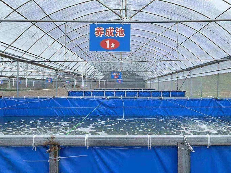 晨源生物水產(chǎn)養(yǎng)殖