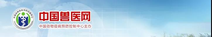 中國(guó)動(dòng)物疫病預(yù)防控制中心關(guān)于印發(fā)《非洲豬瘟防控技術(shù)指南》的通知
